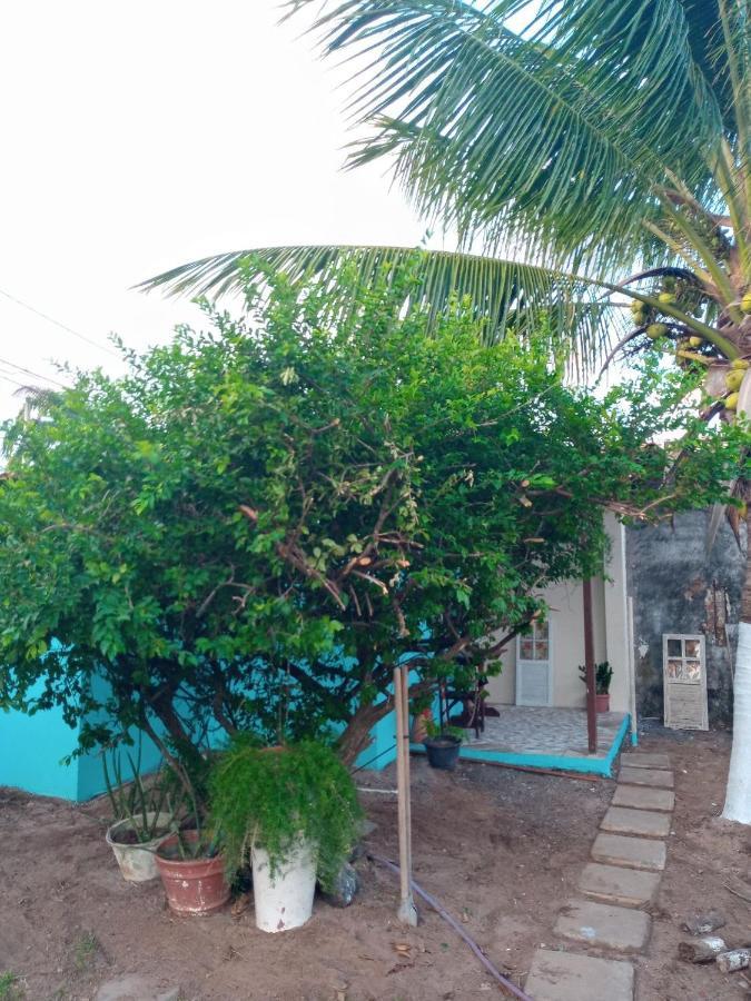 Zen Villas - Chales, Bem-Estar E Conexao Com A Natureza เลาโร เด เฟรย์ตัส ภายนอก รูปภาพ
