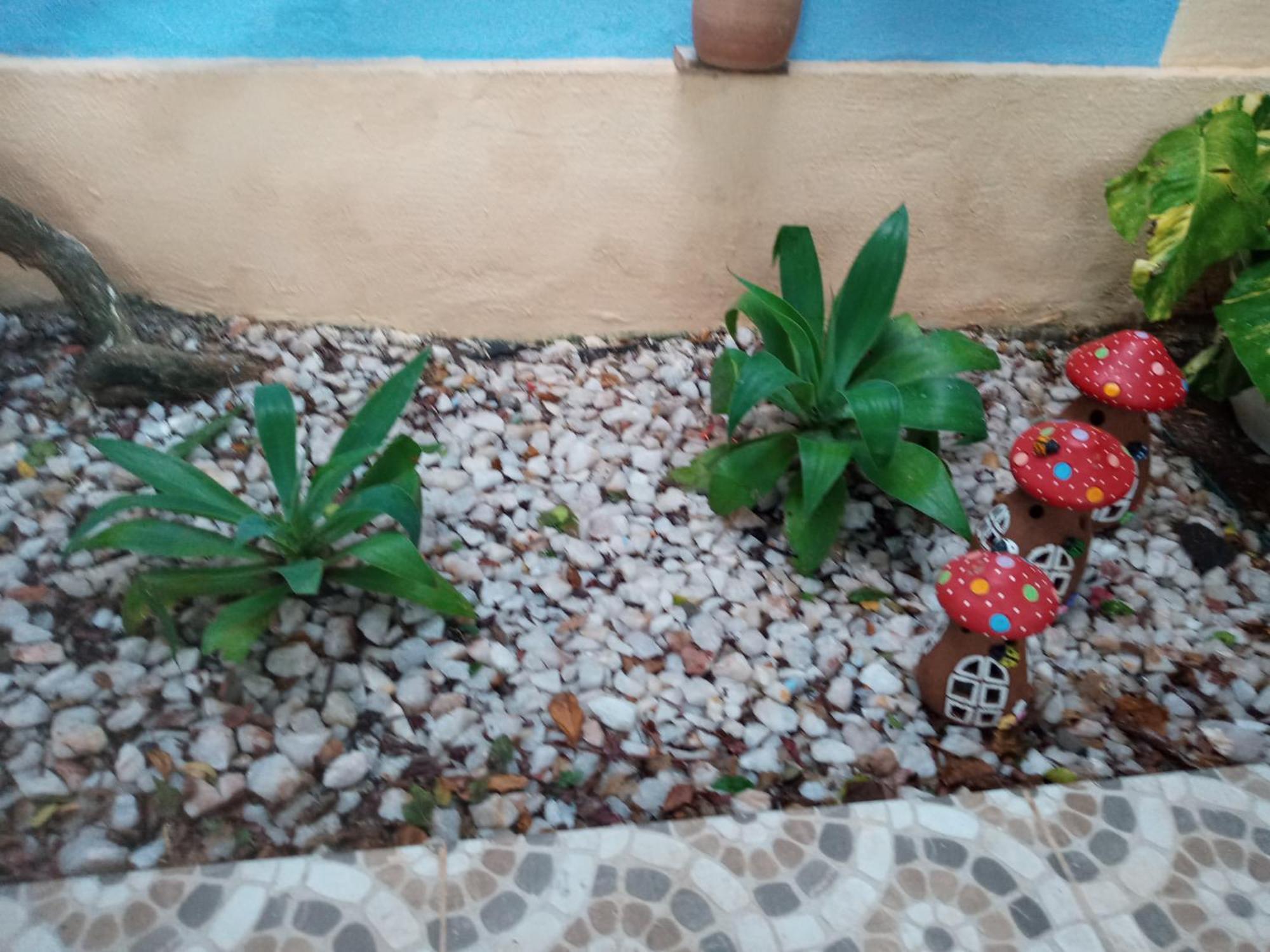 Zen Villas - Chales, Bem-Estar E Conexao Com A Natureza เลาโร เด เฟรย์ตัส ภายนอก รูปภาพ