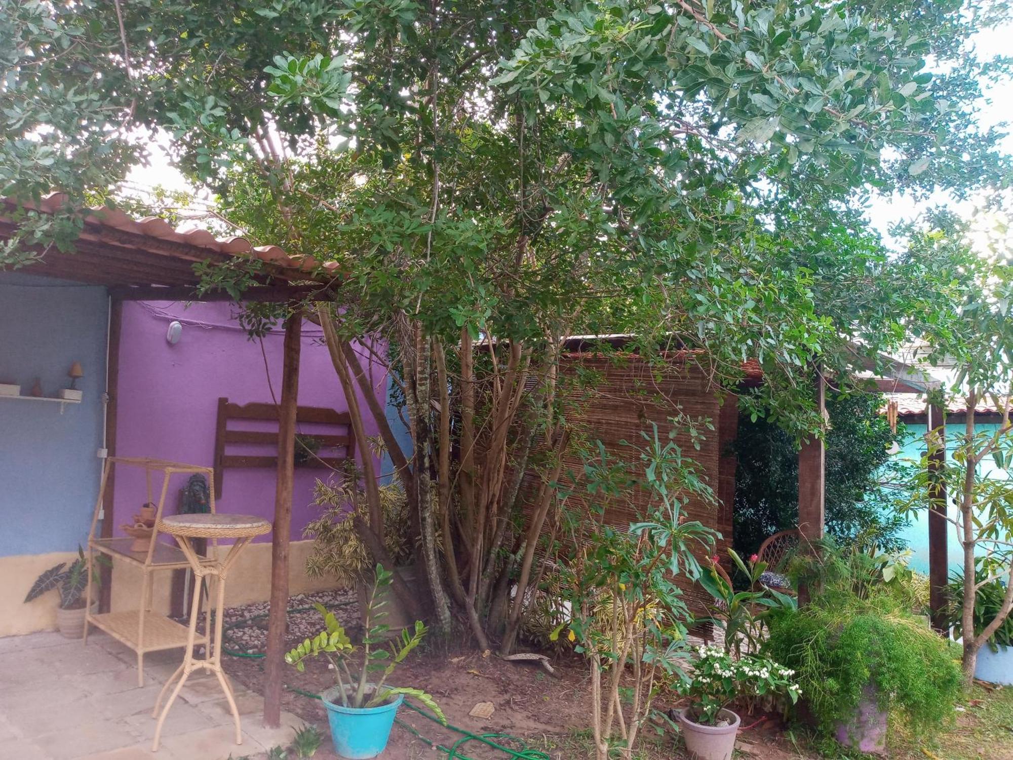 Zen Villas - Chales, Bem-Estar E Conexao Com A Natureza เลาโร เด เฟรย์ตัส ภายนอก รูปภาพ