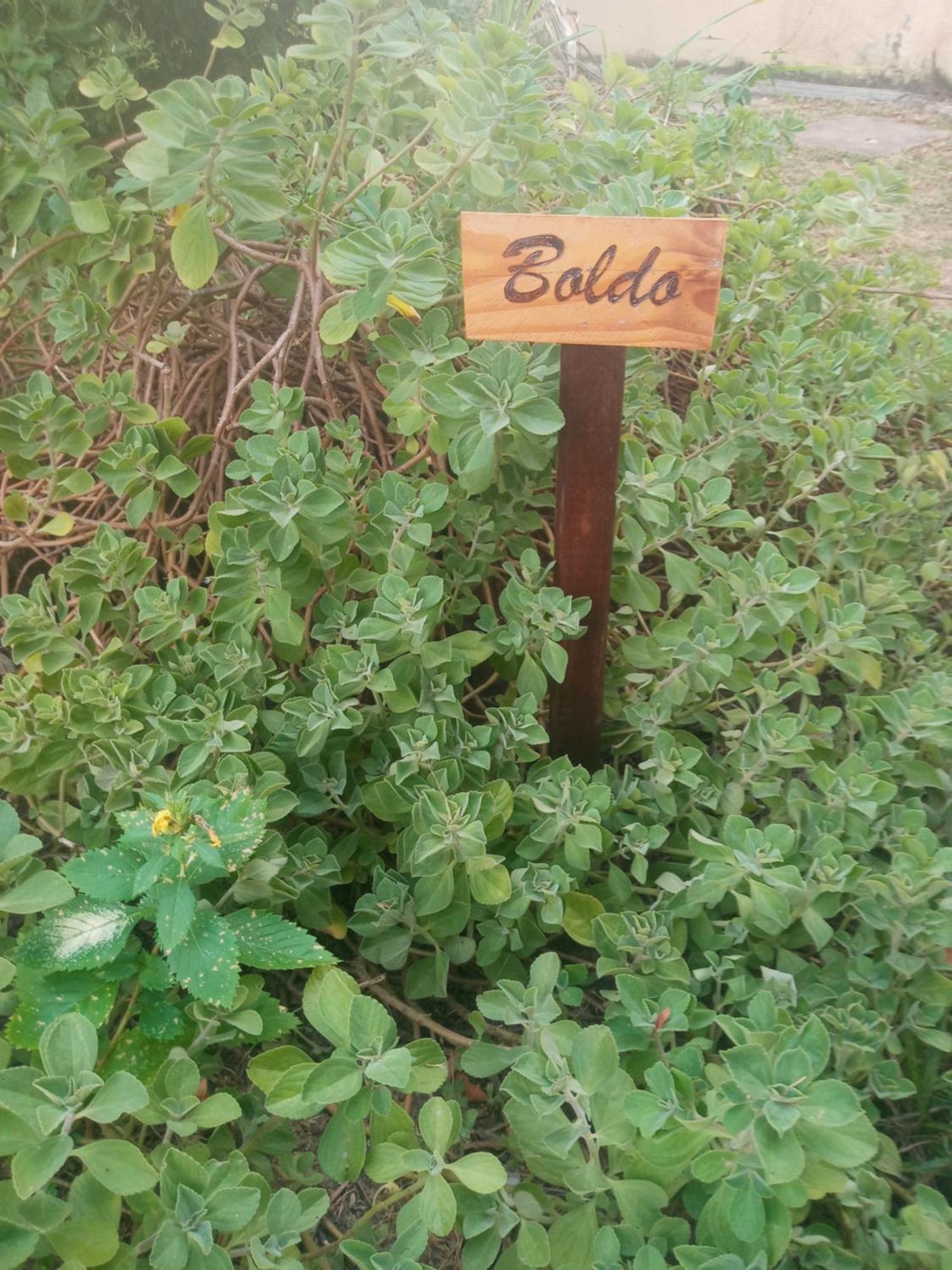 Zen Villas - Chales, Bem-Estar E Conexao Com A Natureza เลาโร เด เฟรย์ตัส ภายนอก รูปภาพ